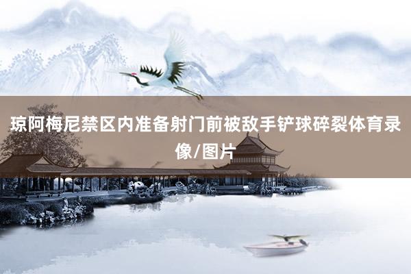 琼阿梅尼禁区内准备射门前被敌手铲球碎裂体育录像/图片
