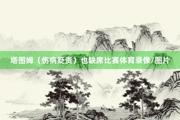 塔图姆（伤病贬责）也缺席比赛体育录像/图片
