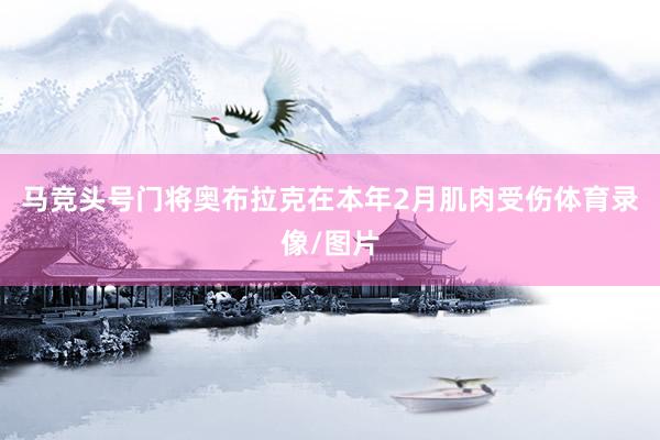 马竞头号门将奥布拉克在本年2月肌肉受伤体育录像/图片