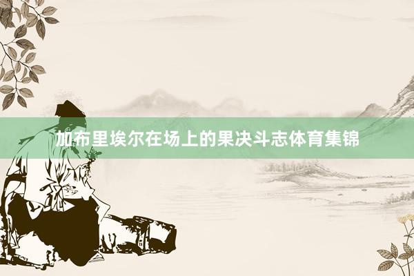 加布里埃尔在场上的果决斗志体育集锦