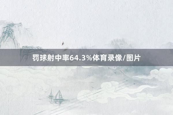 罚球射中率64.3%体育录像/图片