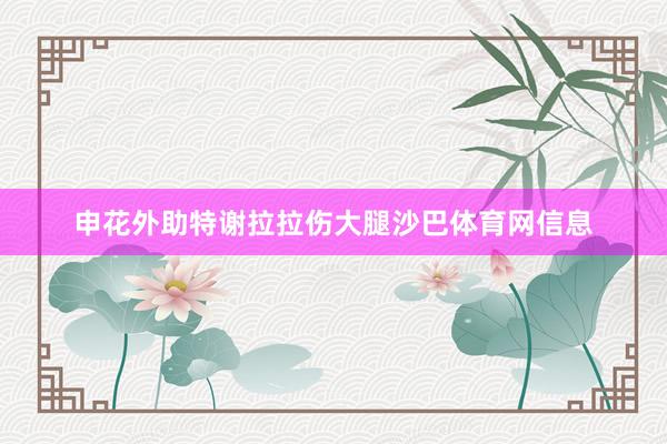 申花外助特谢拉拉伤大腿沙巴体育网信息