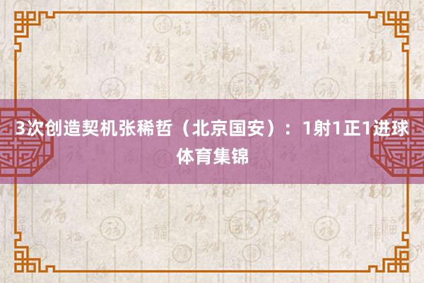 3次创造契机张稀哲（北京国安）：1射1正1进球体育集锦