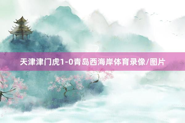 天津津门虎1-0青岛西海岸体育录像/图片