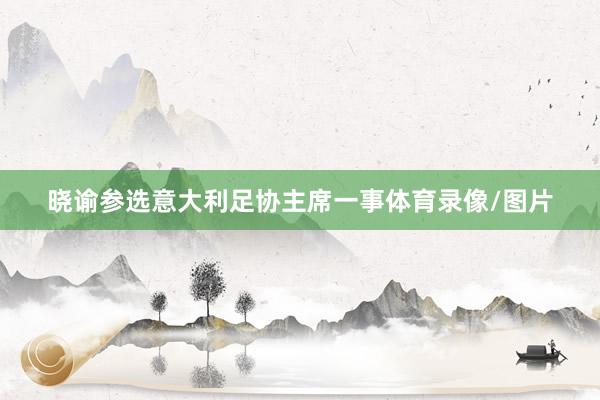 晓谕参选意大利足协主席一事体育录像/图片