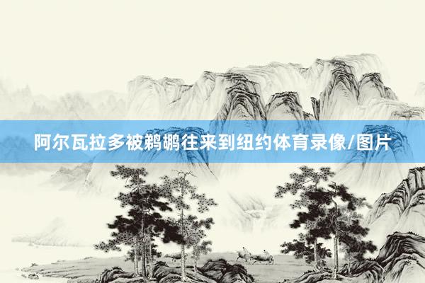 阿尔瓦拉多被鹈鹕往来到纽约体育录像/图片