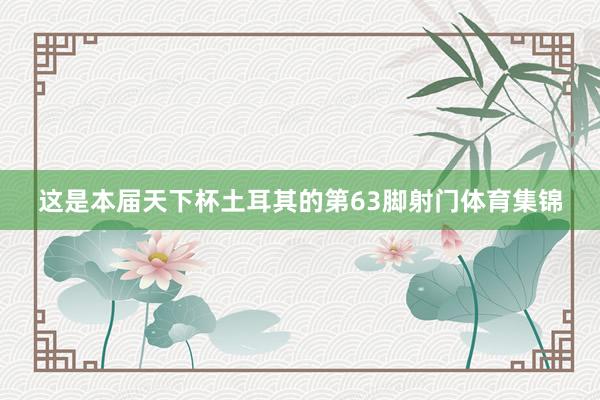 这是本届天下杯土耳其的第63脚射门体育集锦