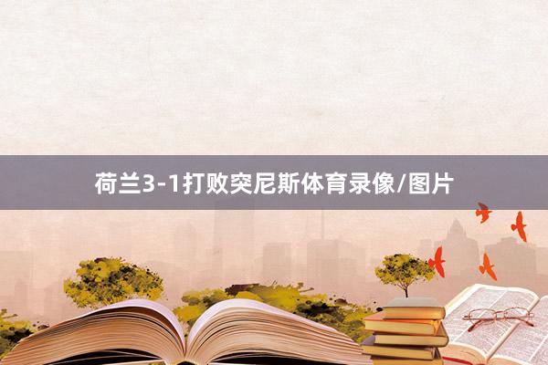 荷兰3-1打败突尼斯体育录像/图片